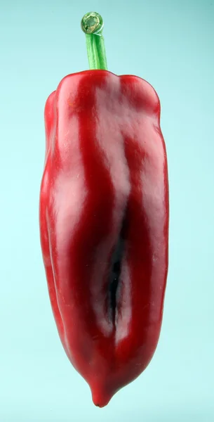 Pimentos de malagueta vermelha — Fotografia de Stock