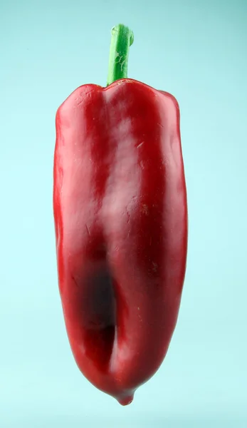 Rote Chilischoten — Stockfoto