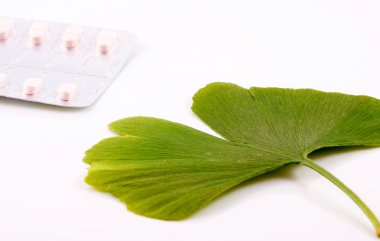 Ginkgo biloba