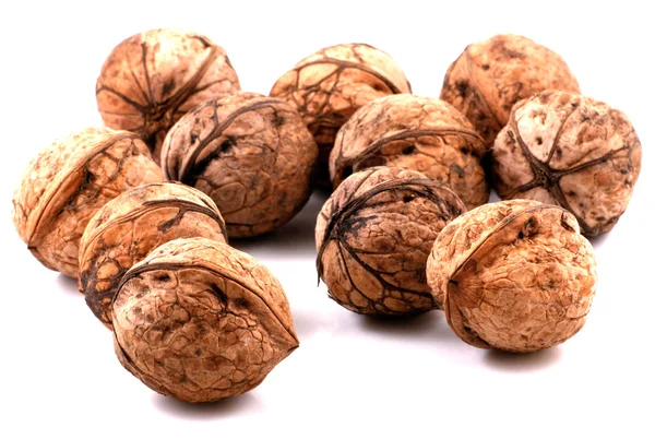 Vlašské ořechy v detailním — Stock fotografie