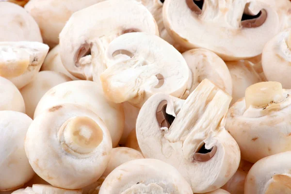 stock image Fresh mushroom