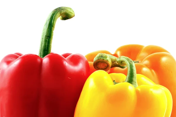 stock image Peppers on white background