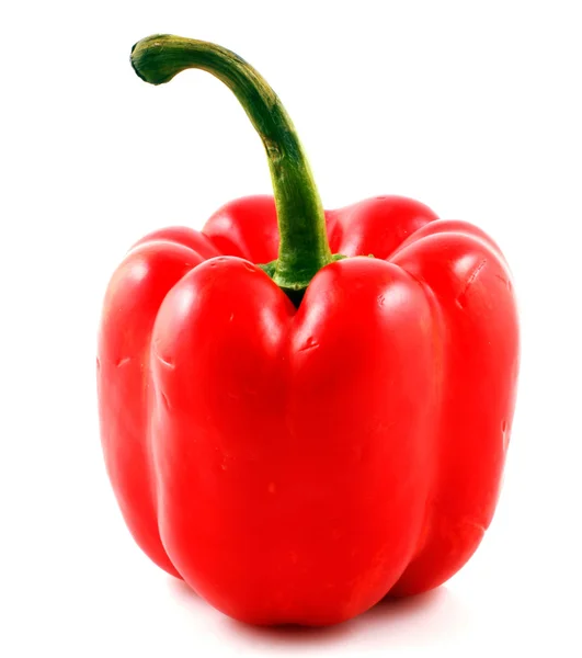 Paprika auf weißem Hintergrund — Stockfoto