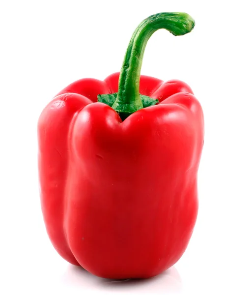 Paprika na bílém pozadí — Stock fotografie
