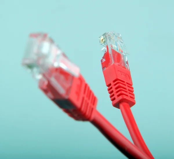 Ethernet-Netzwerkkabel — Stockfoto
