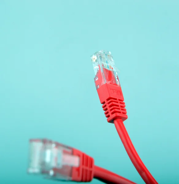 Ethernet hálózati kábelek — Stock Fotó