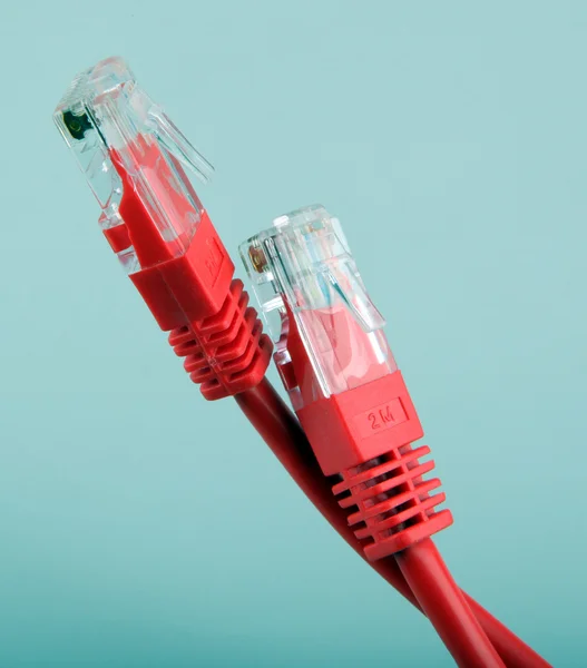 Ethernet-netwerkkabels — Stockfoto