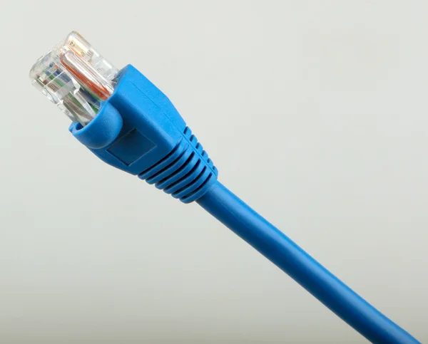Καλώδια δικτύου Ethernet — Φωτογραφία Αρχείου