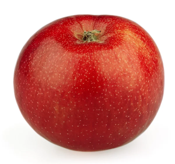 Pomme rouge mûre — Photo