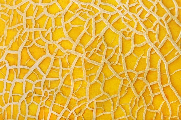 stock image Closeup of yellow melon texture