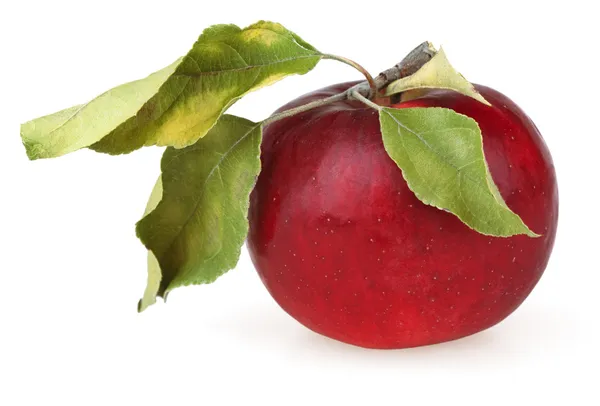 Vörös alma levelekkel — Stock Fotó