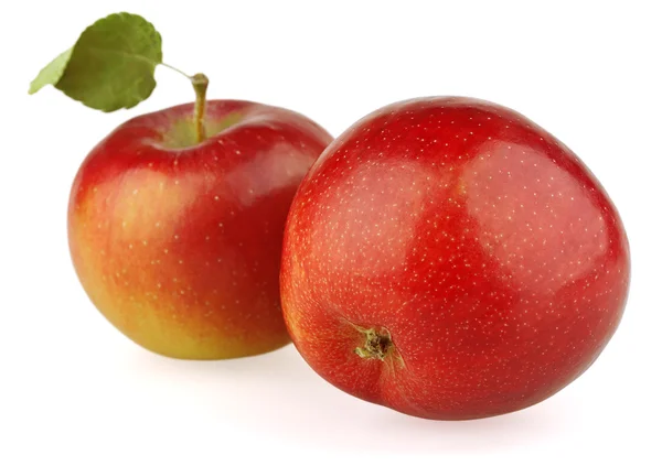 2 빨간 사과 — 스톡 사진