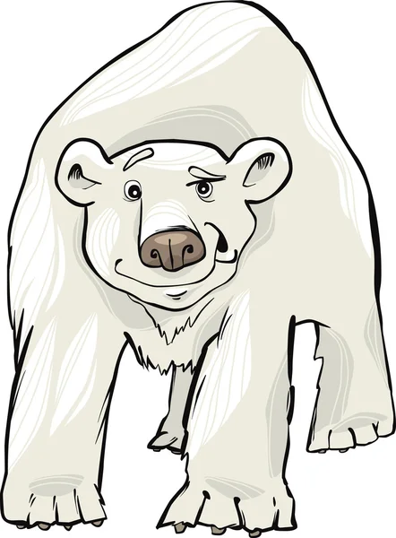 Orso polare — Vettoriale Stock