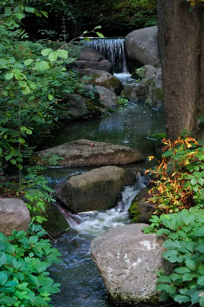 Güzel creek — Stok fotoğraf
