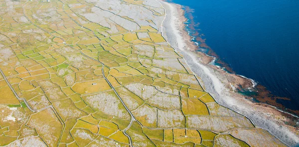 Wyspa Inisheer — Zdjęcie stockowe