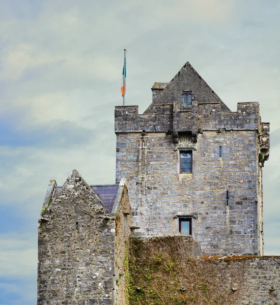 Dunguire castle — Stock Photo, Image