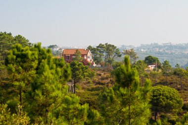 Dağlardaki köy.