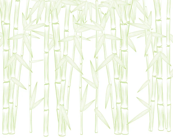 Sommer grøn bambus ramme – Stock-vektor