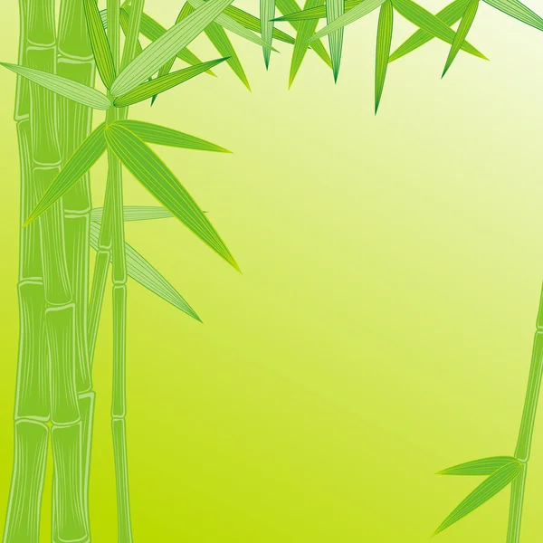 Verão quadro de bambu verde — Vetor de Stock