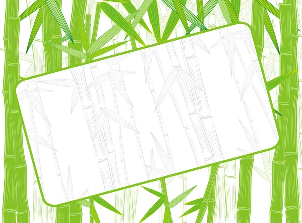 Summer green bamboo border — Stock Vector