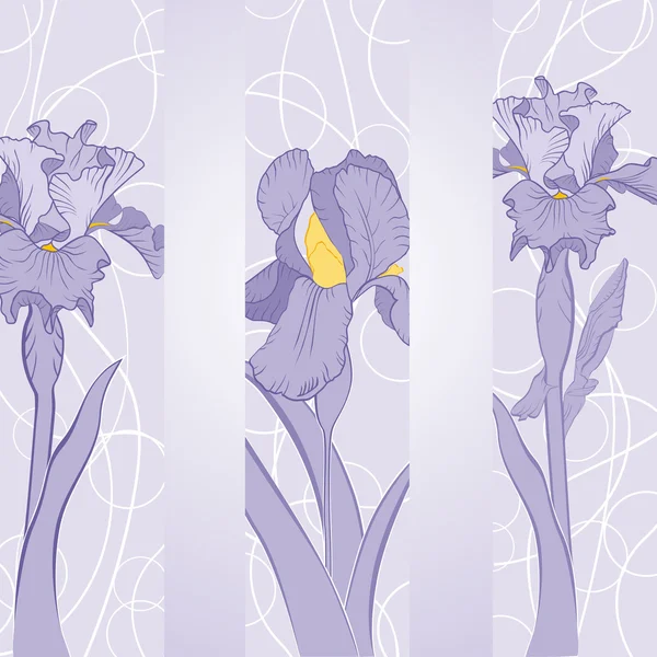 Άνοιξη λουλούδι Ίρις στην κορδέλα — Διανυσματικό Αρχείο