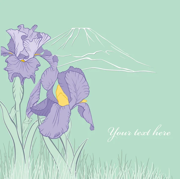 Primavera Iris Fiore — Vettoriale Stock