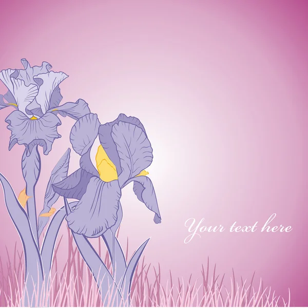 Primavera Iris Fiore — Vettoriale Stock
