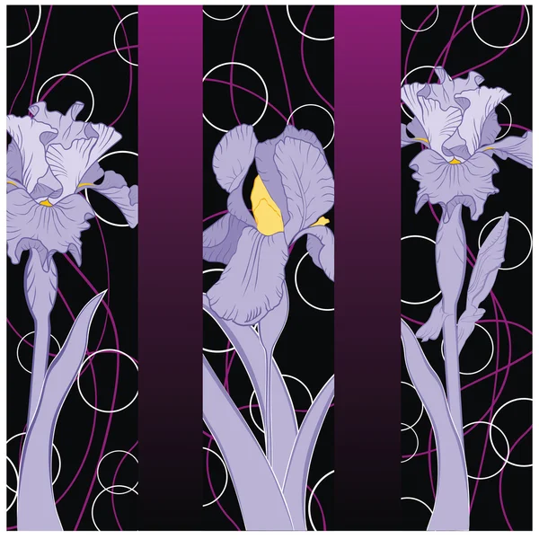 Patrón de iris de floración de primavera — Archivo Imágenes Vectoriales