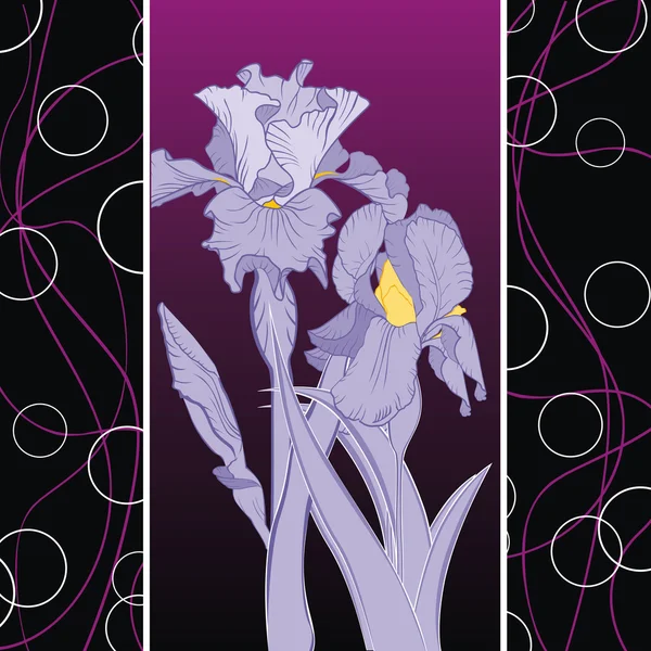 Spring flowering iris pattern — Stock Vector