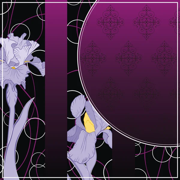 Lente bloeiende iris frame — Stockvector