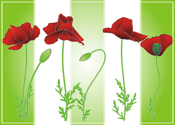 Summer poppies on green strips — Stock Vector