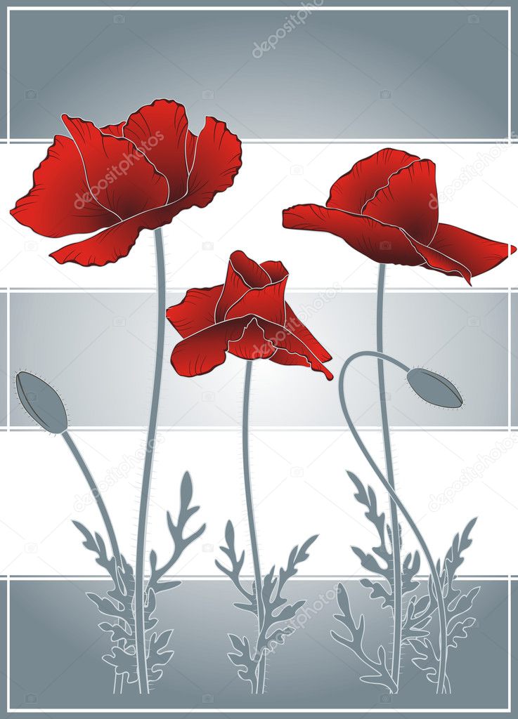 Summer poppies on gray strips