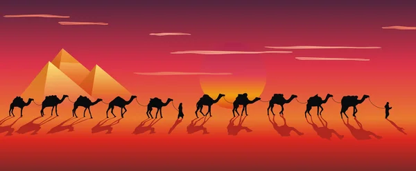 Caravan of camels in the desert — Stock Vector
