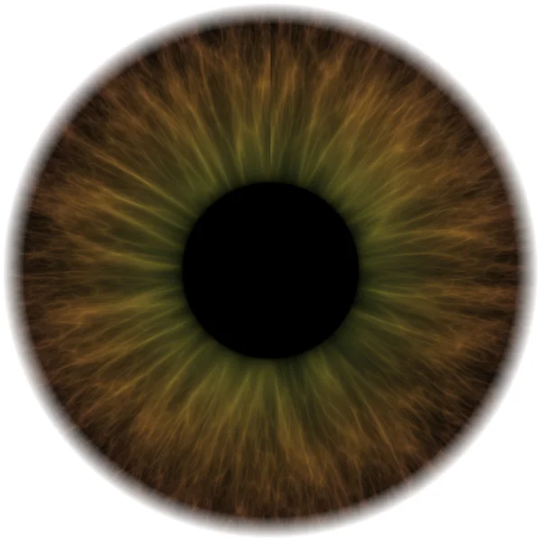 目の虹彩 — ストック写真