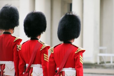 Grenadier Guard Inspection4 clipart