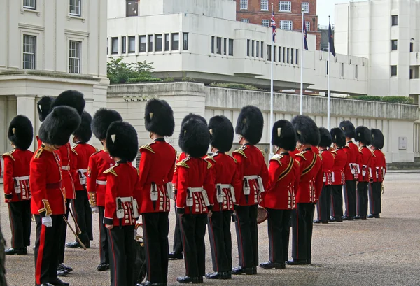 Grenadier Guard Inspection — Stock Photo, Image
