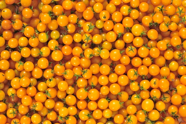 Gele cherry tomaat. — Stockfoto