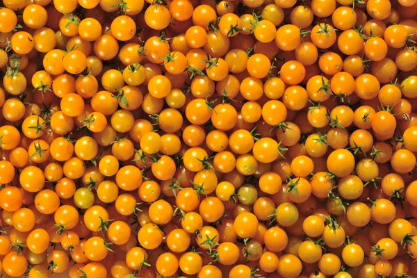 Gele cherry tomaat. — Stockfoto