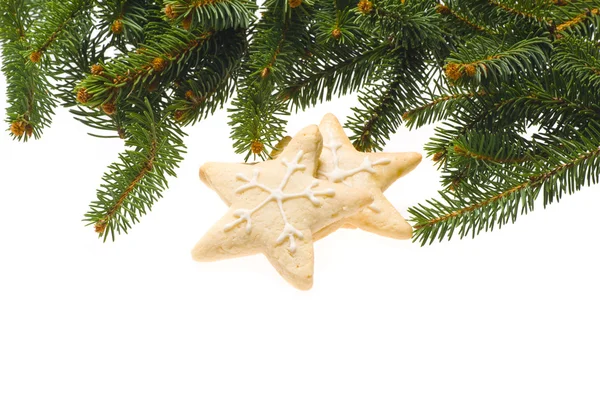 Noel kurabiyeleri gerçek ağaç dalları ile dekore edilmiştir. — Stok fotoğraf