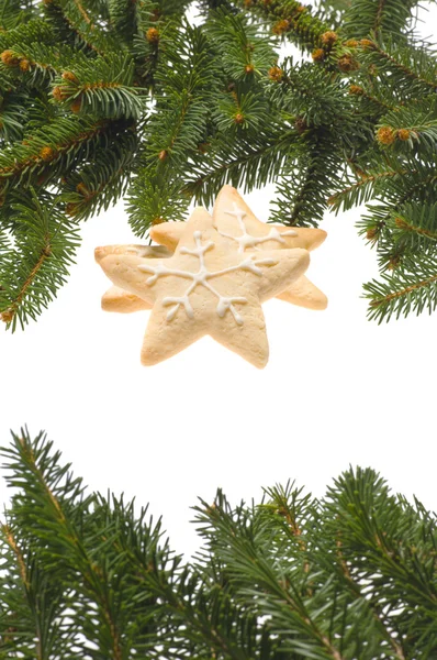 Noel kurabiyeleri gerçek ağaç dalları ile dekore edilmiştir. — Stok fotoğraf