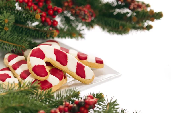 Рождественское печенье украшено настоящими ветвями дерева — стоковое фото