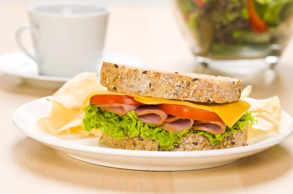 Plan rapproché d'un sandwich à la salade riche — Photo