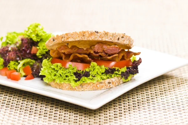 Close-up natáčení sendvič s bohatou salát — Stock fotografie