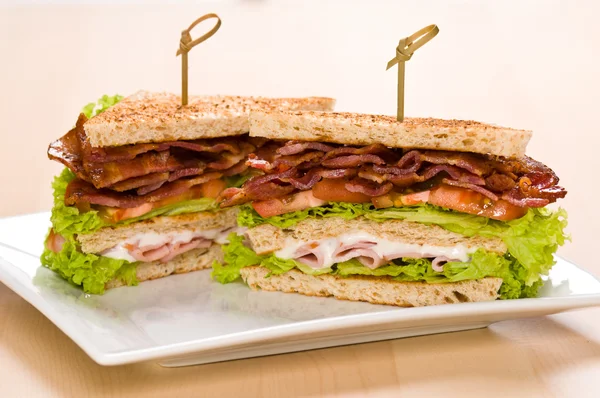 Deux sandwichs dans une assiette avec place pour le texte — Photo