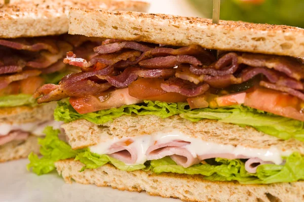 Deux sandwichs beau gros plan shoot — Photo