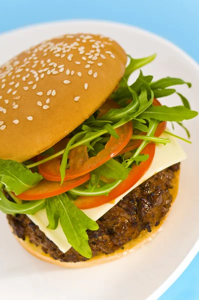 Hamburger met kaas en gemengde tomaat en salade — Stockfoto