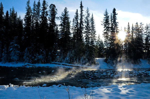 Dampfender Fluss im Winter — Stockfoto