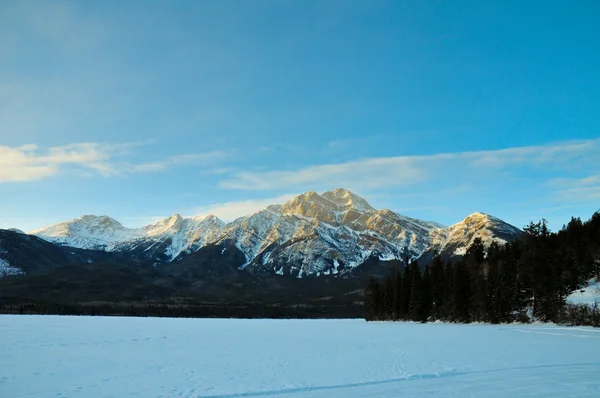 Güneş tarafından aydınlatılmış kış manzarası — Stok fotoğraf