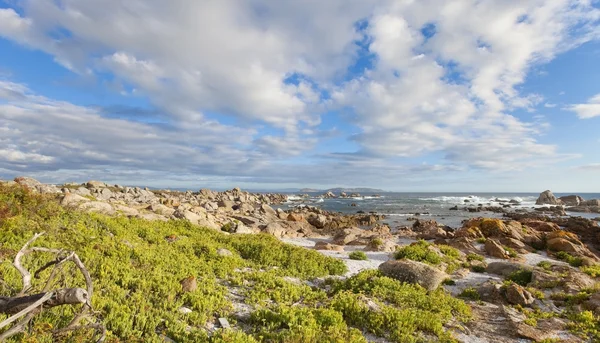 stock image Ocean stone coast