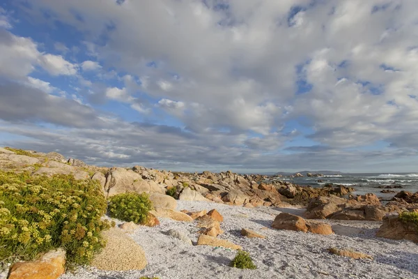 stock image Bright ocean stone coast